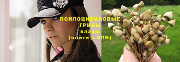 спиды Верея