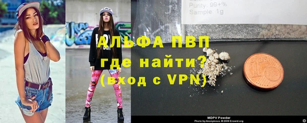 спиды Верея