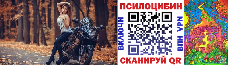 Купить закладки  Себеж  Галлюциногенные грибы Psilocybine cubensis 